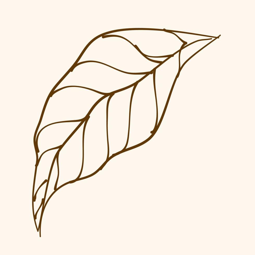 Leaf Ornament Vector Art. Hand drawn leave. leaf line. Leaf outline ornament vector. Vector hand drawn black line design elements.