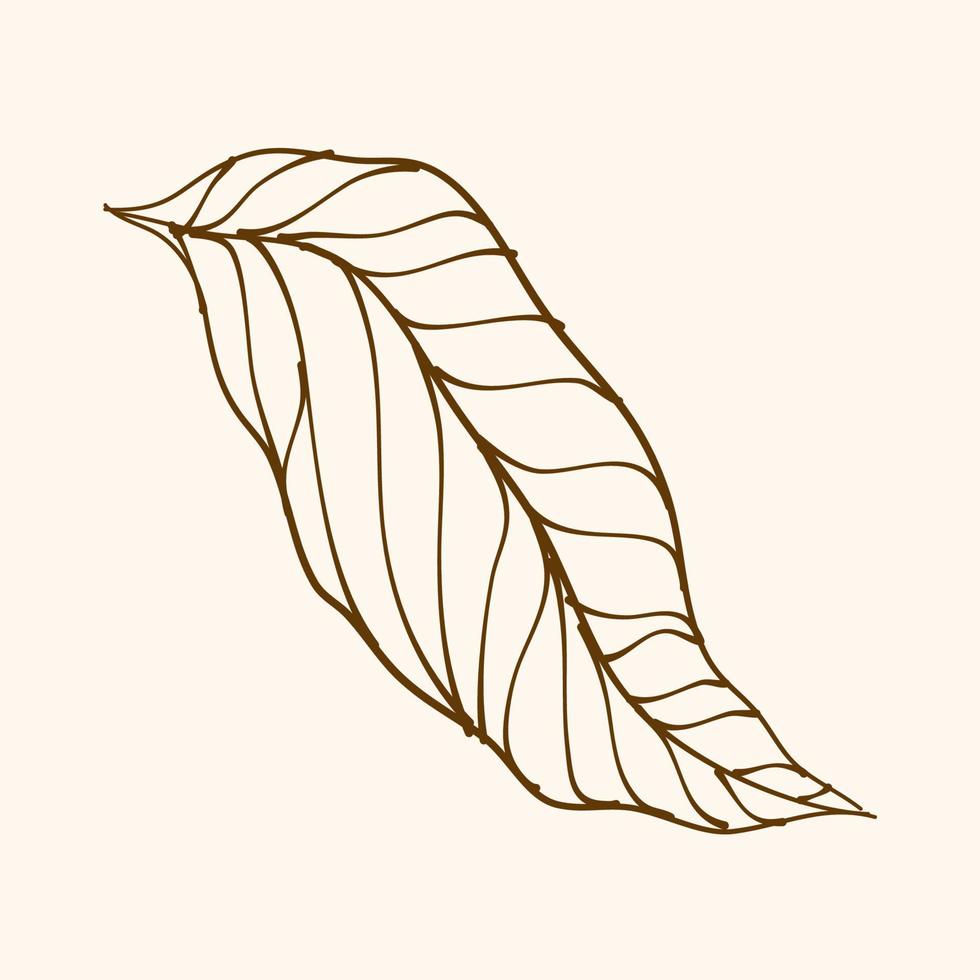 Leaf Ornament Vector Art. Hand drawn leave. leaf line. Leaf outline ornament vector. Vector hand drawn black line design elements.