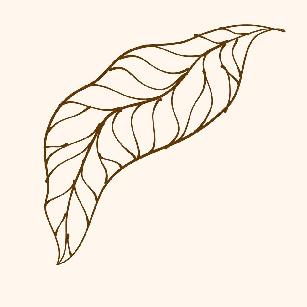 Leaf Ornament Vector Art. Hand drawn leave. leaf line. Leaf outline ornament vector. Vector hand drawn black line design elements.