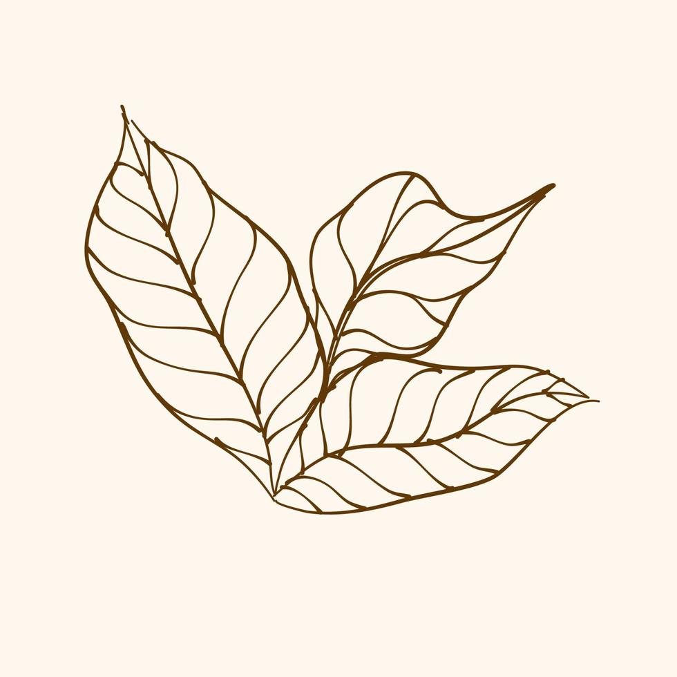 Leaf Ornament Vector Art. Hand drawn leave. leaf line. Leaf outline ornament vector. Vector hand drawn black line design elements.