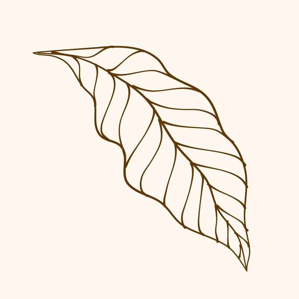 Leaf Ornament Vector Art. Hand drawn leave. leaf line. Leaf outline ornament vector. Vector hand drawn black line design elements.