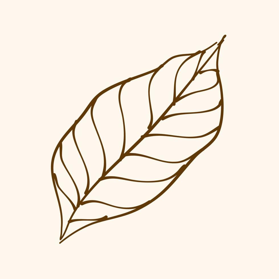 Leaf Ornament Vector Art. Hand drawn leave. leaf line. Leaf outline ornament vector. Vector hand drawn black line design elements.