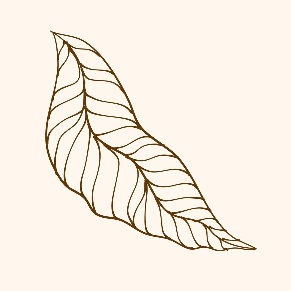 Leaf Ornament Vector Art. Hand drawn leave. leaf line. Leaf outline ornament vector. Vector hand drawn black line design elements.