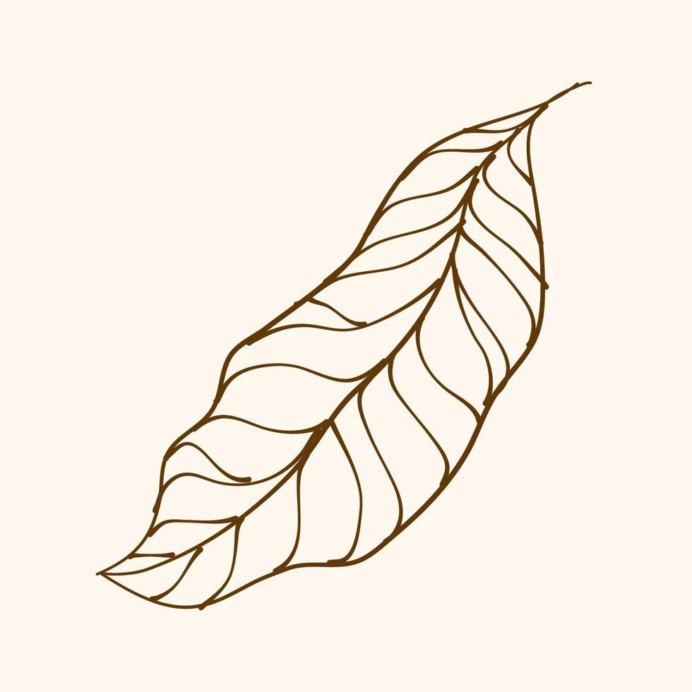 Leaf Ornament Vector Art. Hand drawn leave. leaf line. Leaf outline ornament vector. Vector hand drawn black line design elements.