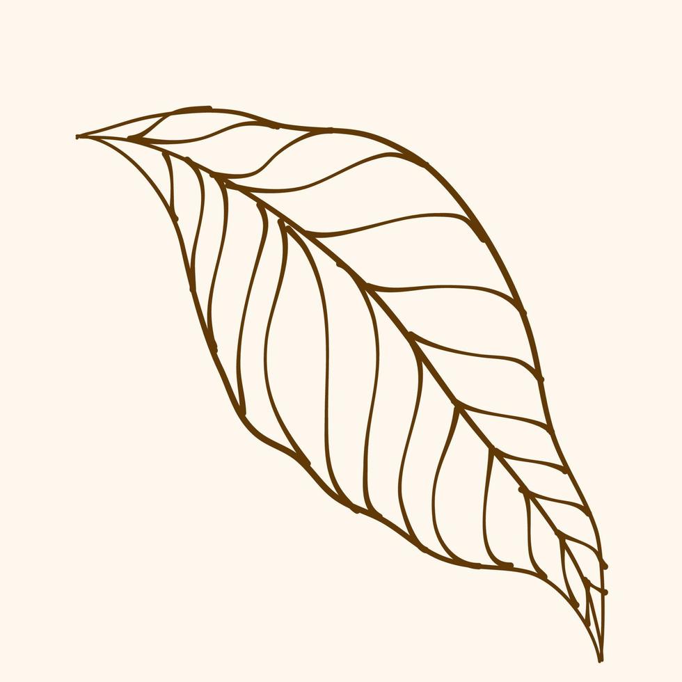 Leaf Ornament Vector Art. Hand drawn leave. leaf line. Leaf outline ornament vector. Vector hand drawn black line design elements.