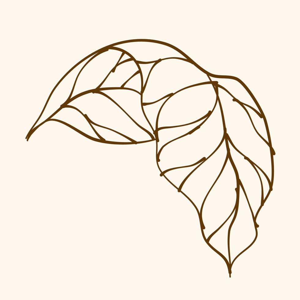 Leaf Ornament Vector Art. Hand drawn leave. leaf line. Leaf outline ornament vector. Vector hand drawn black line design elements.
