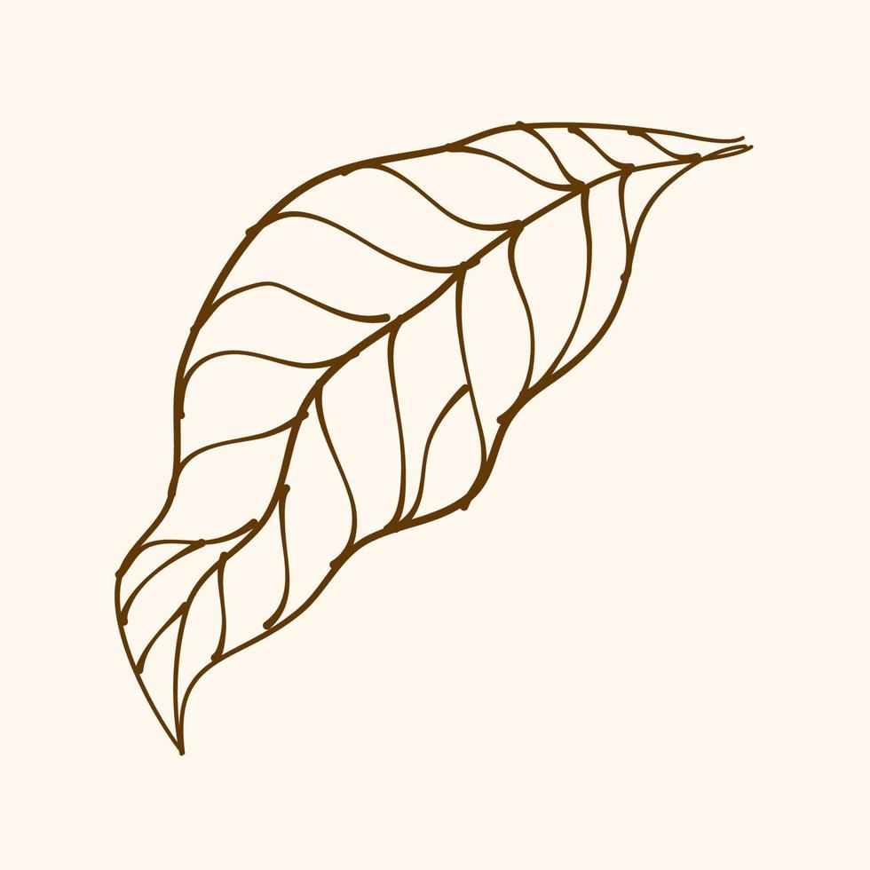 Leaf Ornament Vector Art. Hand drawn leave. leaf line. Leaf outline ornament vector. Vector hand drawn black line design elements.