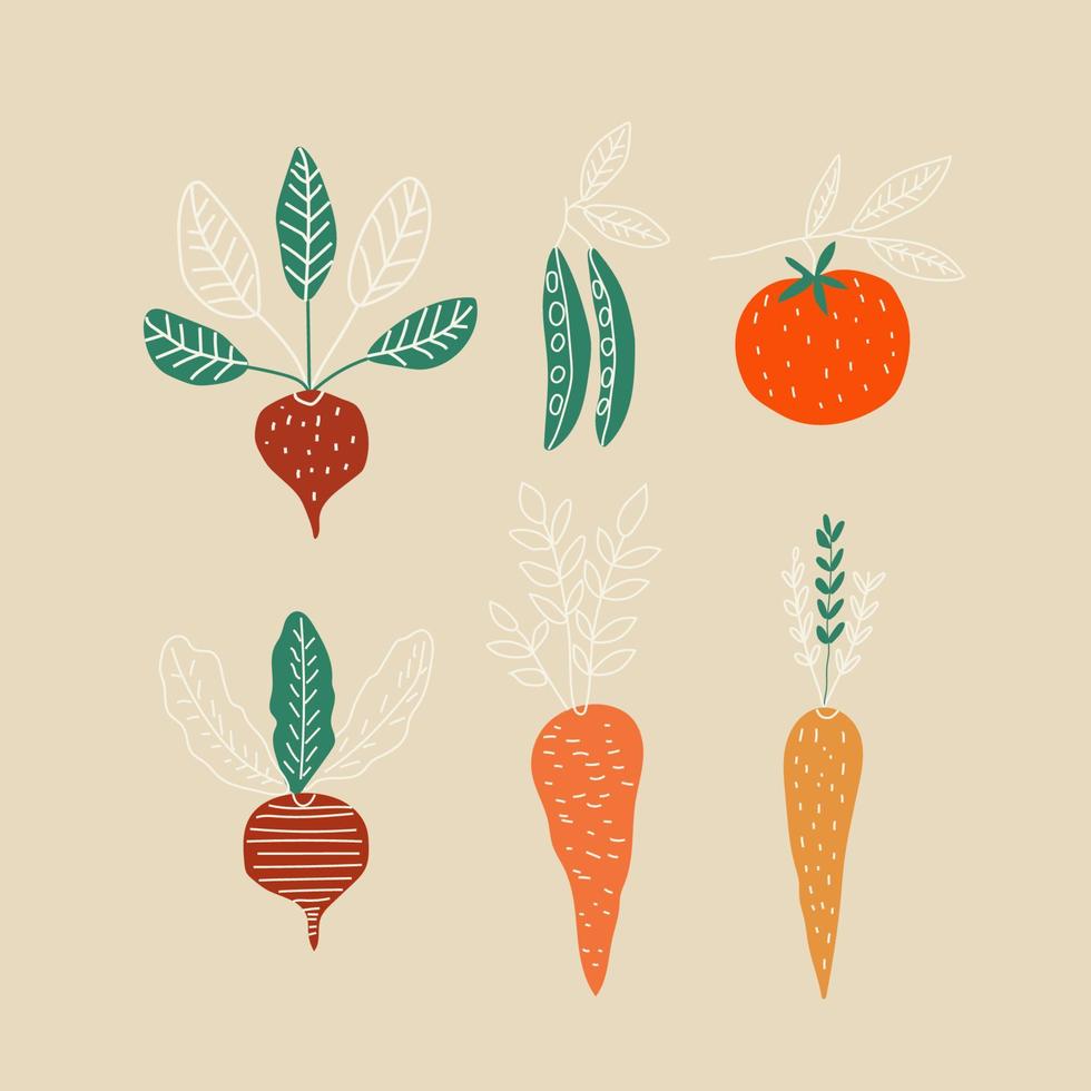 un conjunto de verduras. vector en estilo de dibujos animados. todos los elementos están aislados