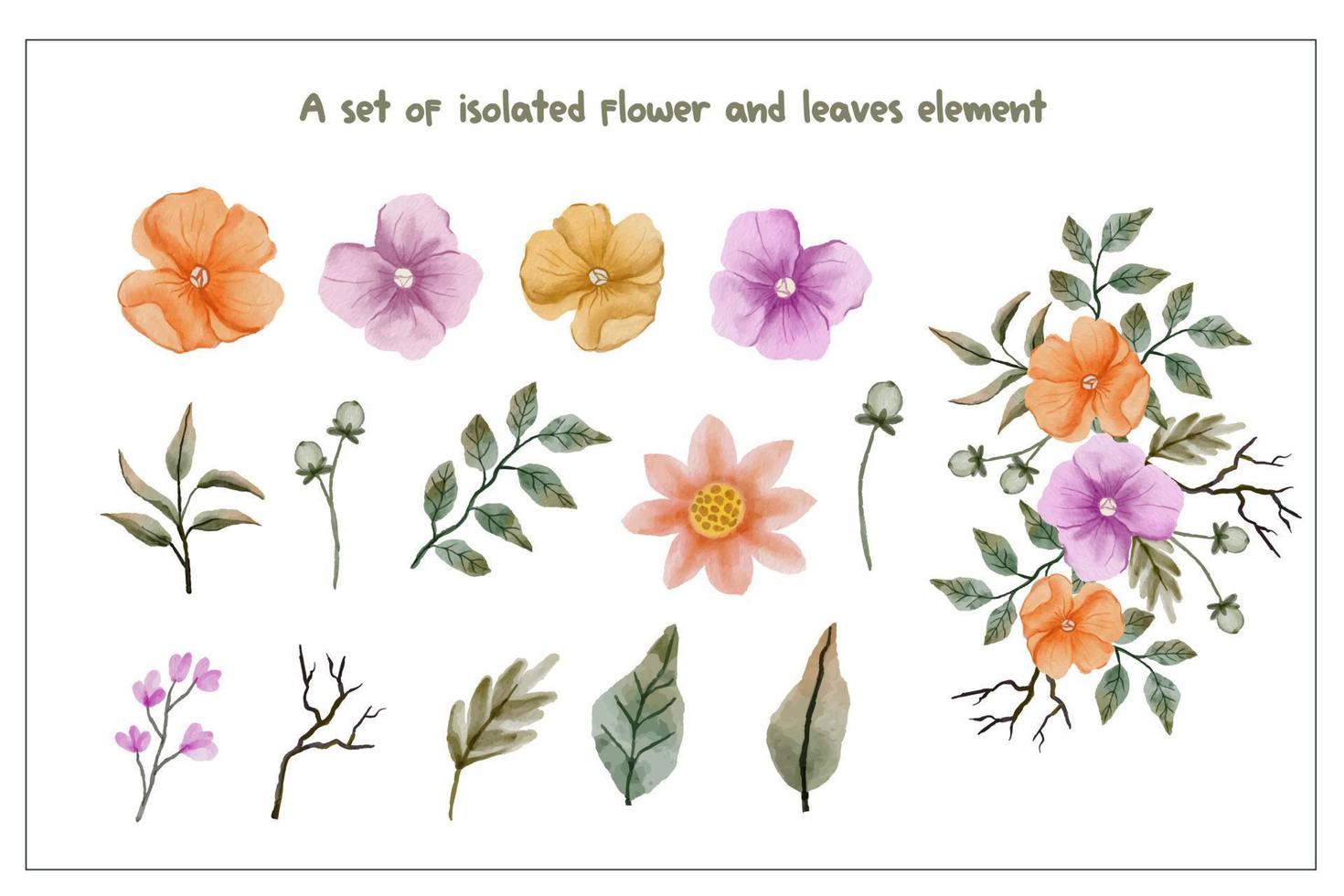 Set of orange purple flower  and leaf isolated clip-art vector