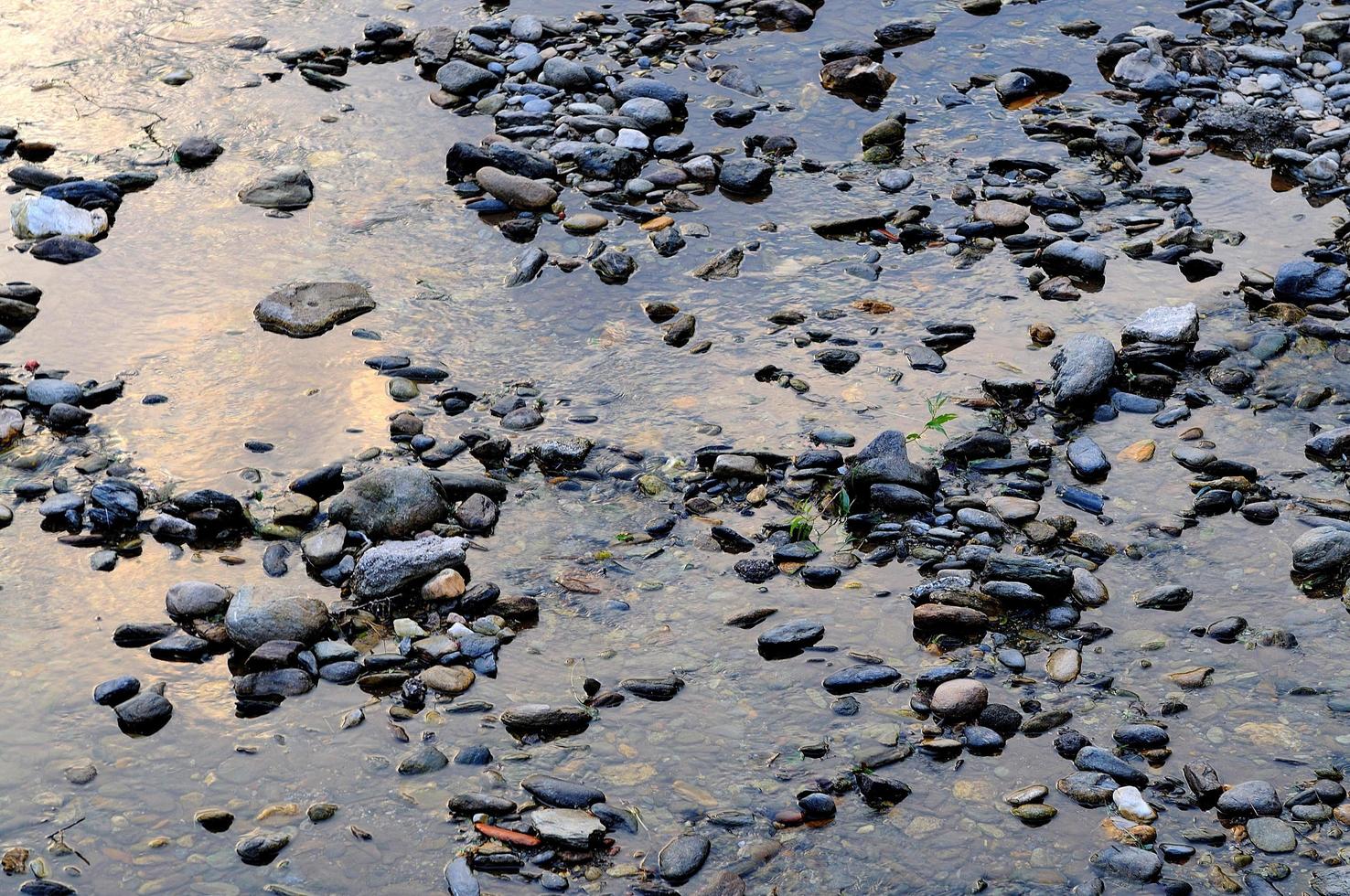 piedras en la playa foto