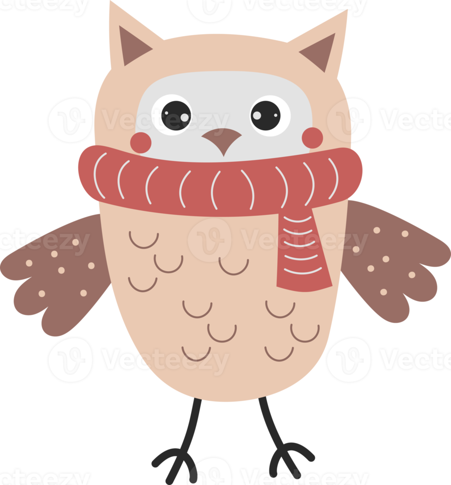 Winter owl. Cute animal in a knitted scarf png