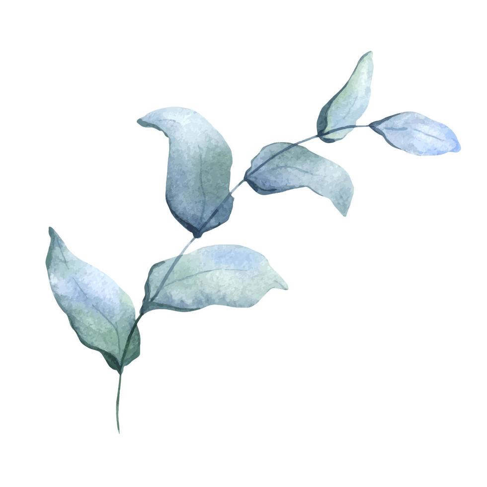 ramas azules acuarelas con hojas. hoja verde pintada a mano aislada. se puede utilizar como elemento en el diseño decorativo de tarjetas de invitación, boda o felicitación. vector