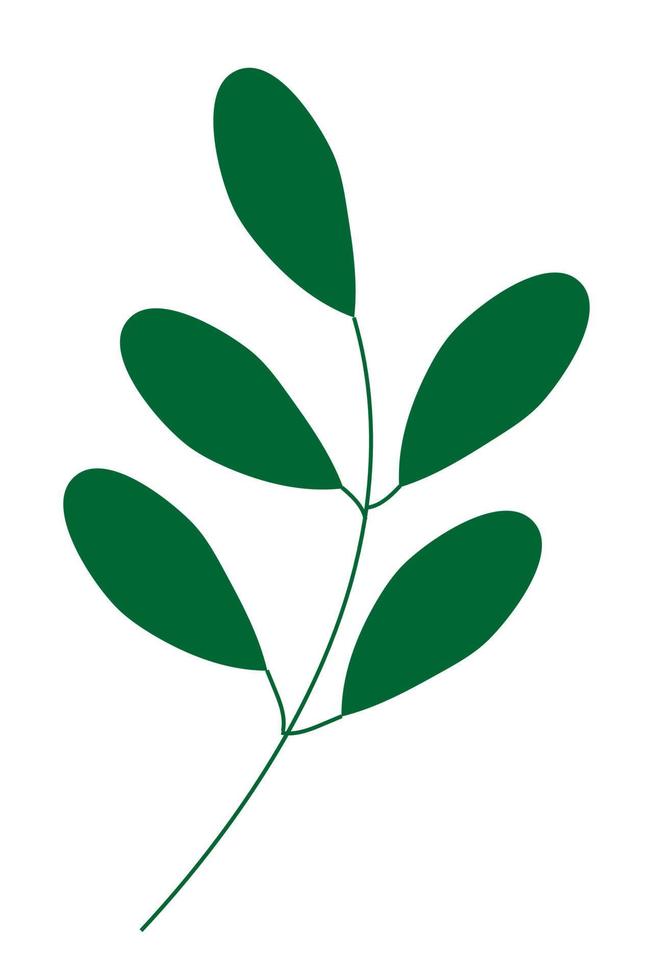 rama verde con hojas ilustración vectorial aislado sobre fondo blanco vector
