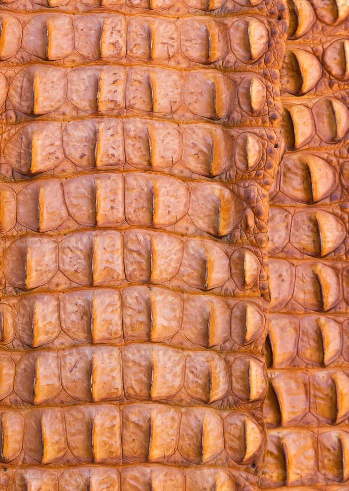 Crocodile leather close up photo
