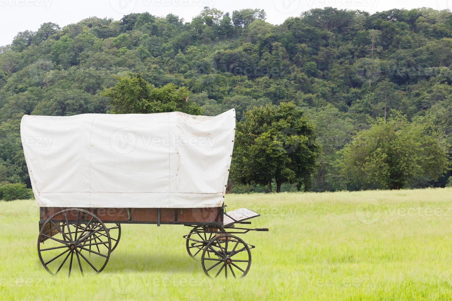 Covered wagon in fields photo
