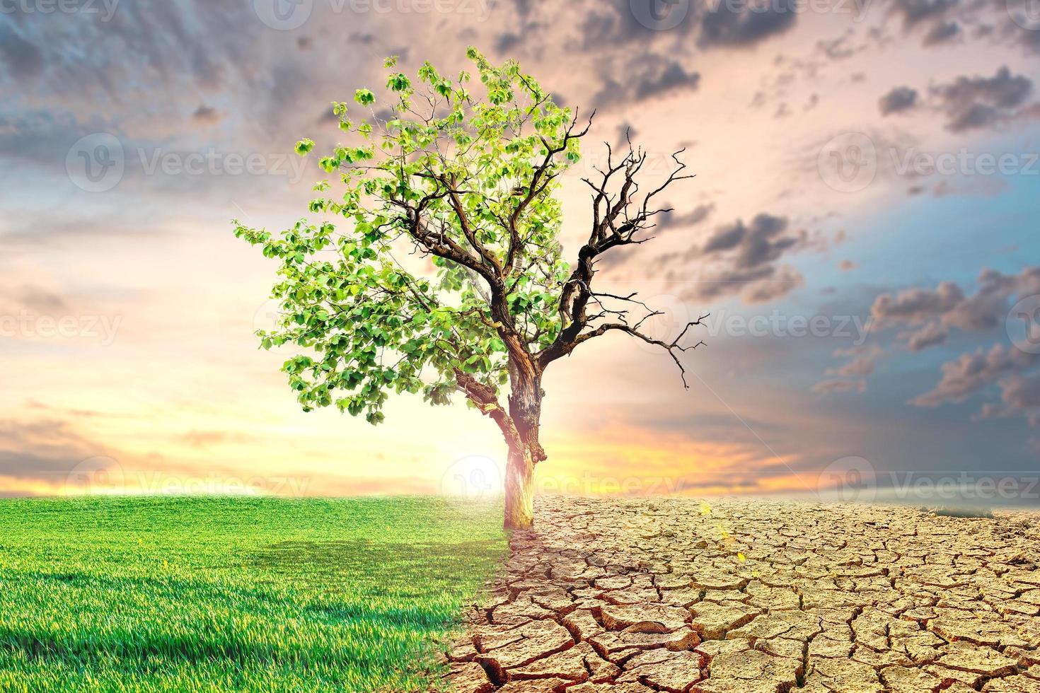 Global warming concept image photo