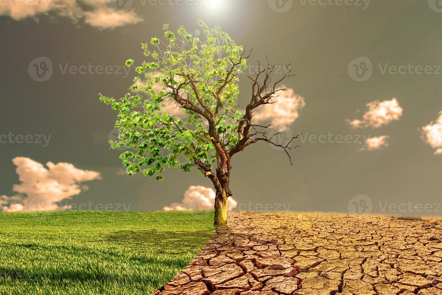 Global warming concept image showing the effects of dry land photo