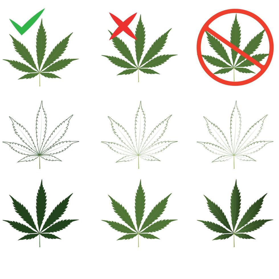 conjunto de hojas de marihuana, cannabis. prohibido o permitido para uso médico y personal. vector