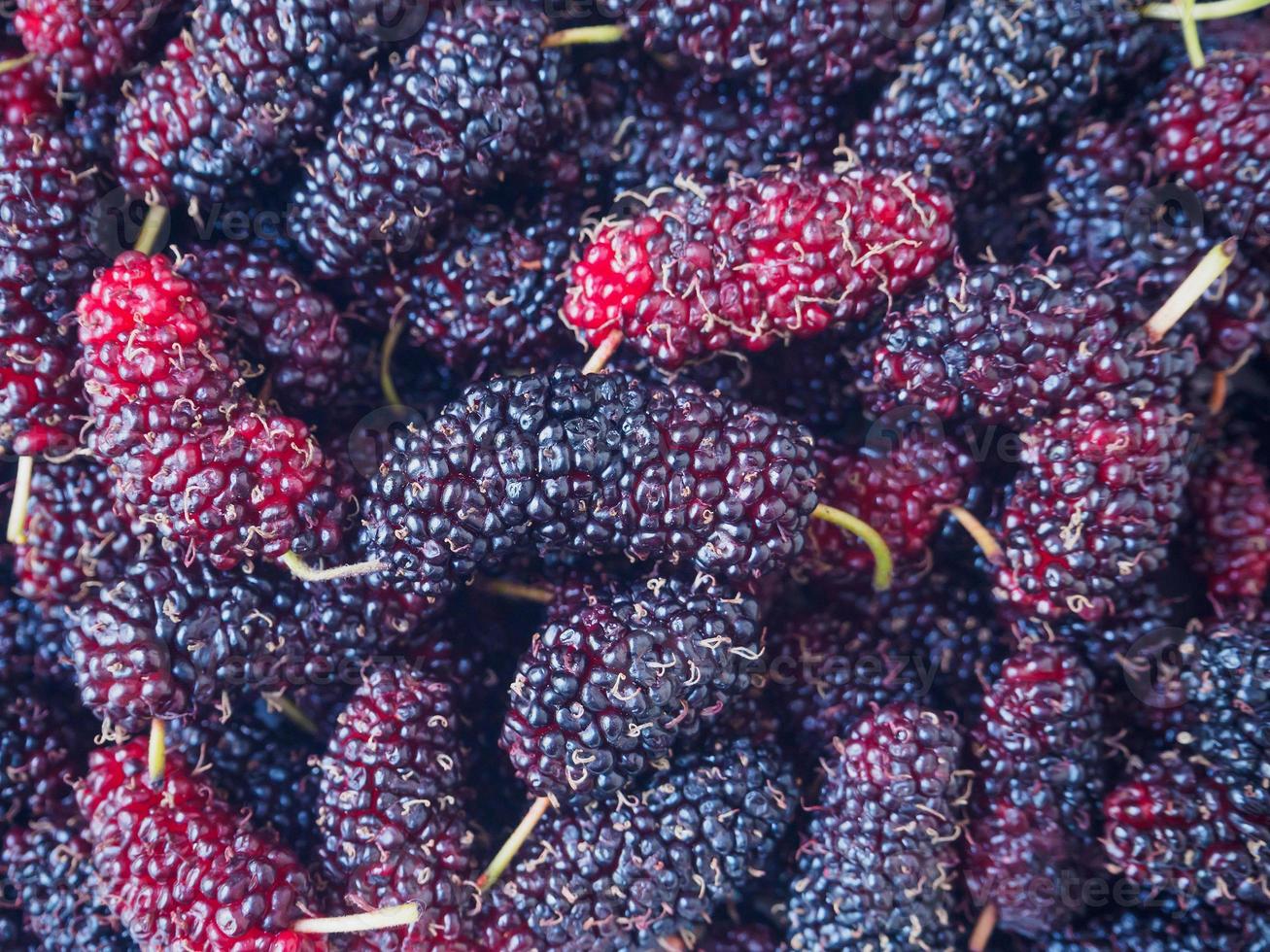 fresh mulberry closeup background photo