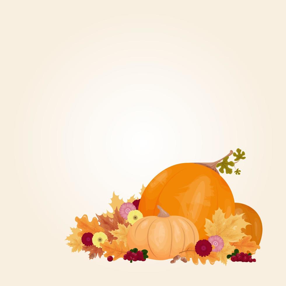 Thanksgiving greeting design day. Autumn leaves and pumpkins on a white background. vector