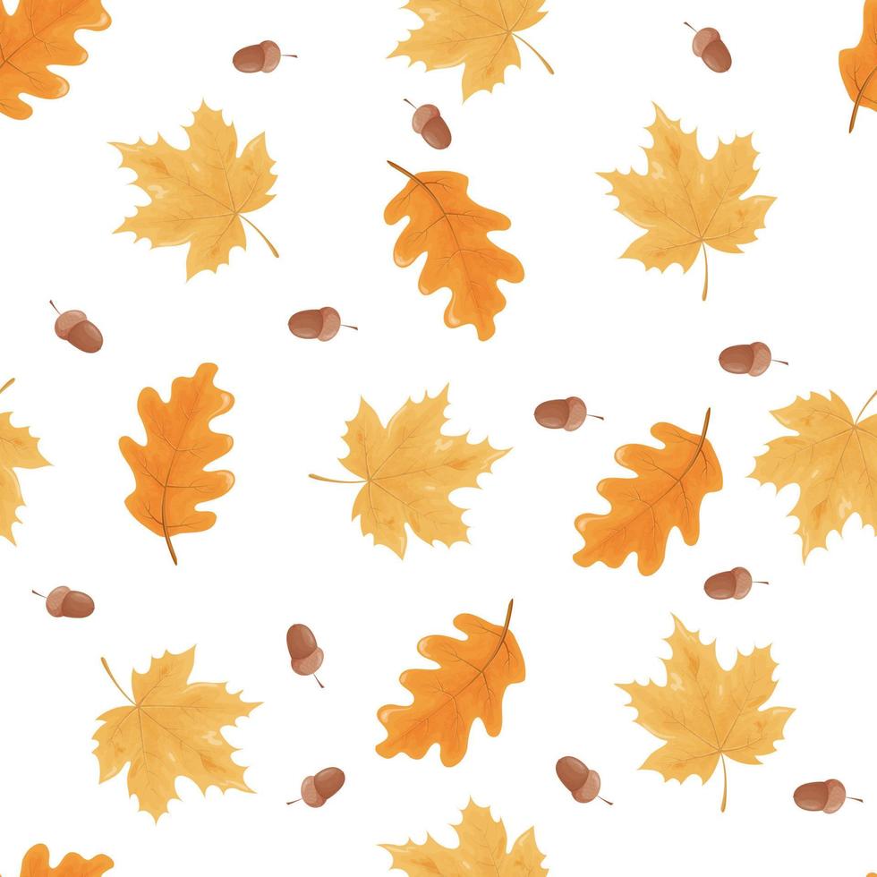 Autumn maple leaves on a white background. vector