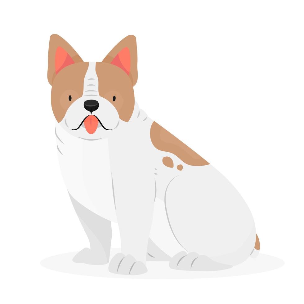 Dog breed french bulldog with his tongue hanging out is sitting. The character is a dog isolated on a white background. Vector animal illustration.