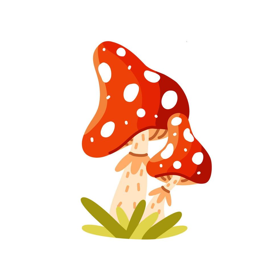 A pair of fly agaric amanita mushrooms in cartoon style isolated on a white background. Vector illustration.