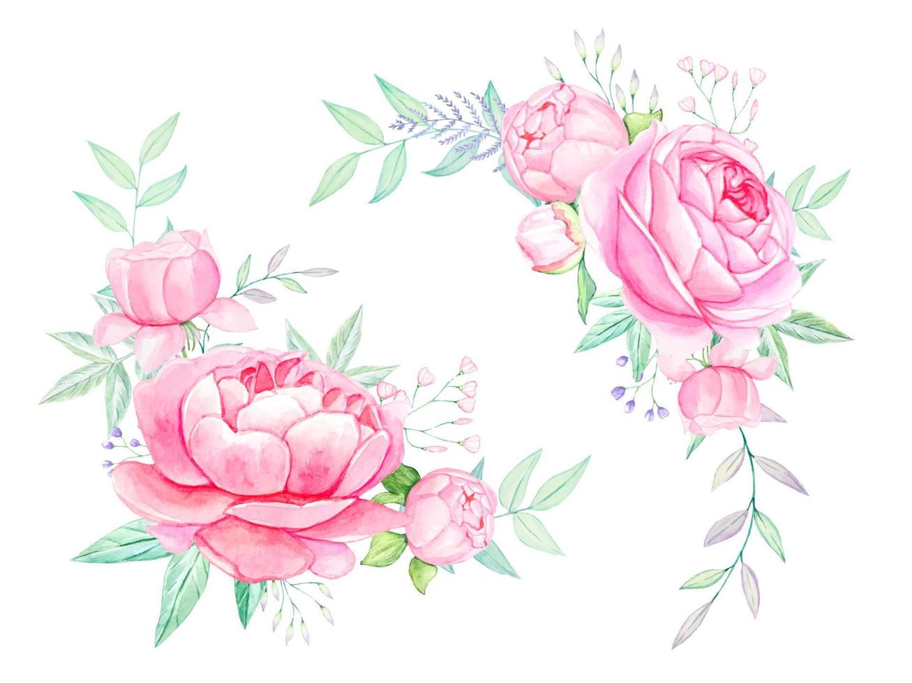 Bouquets of pink peonies in watercolor vector