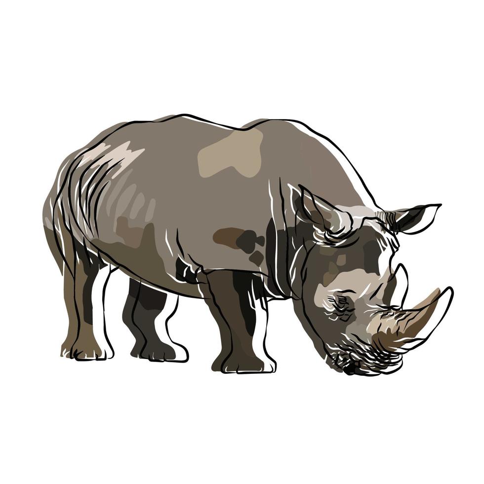 It's a beautiful rhinoceros picture. vector