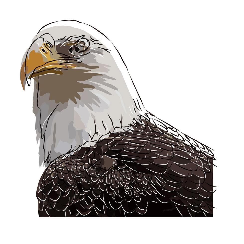 It's a beautiful eagle picture. vector