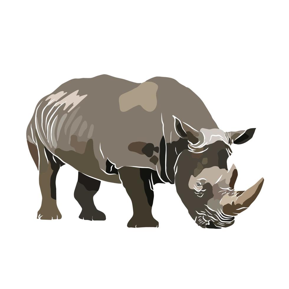 It's a beautiful rhinoceros picture. vector