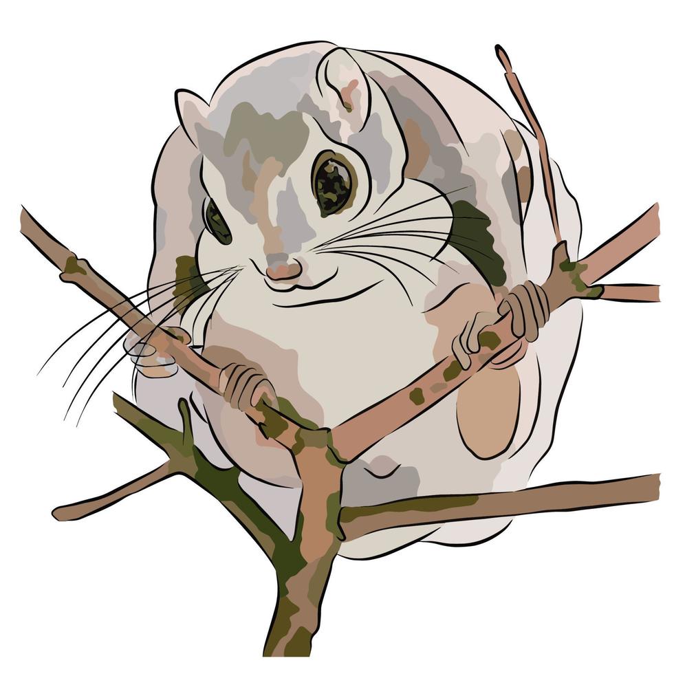 It's a beautiful Northern flying squirrel picture. vector