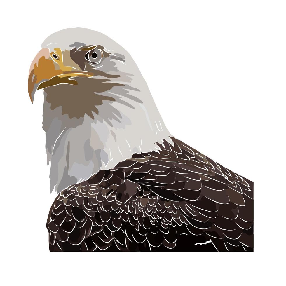 It's a beautiful eagle picture. vector