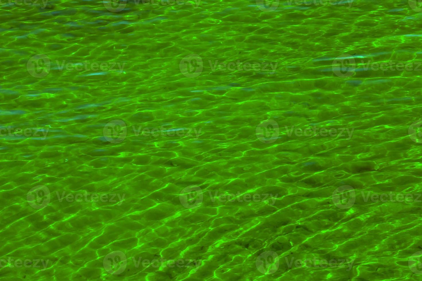 Water ripple texture background. Wavy water surface. Reflections from the green coastal vegetation reflected in the water. photo