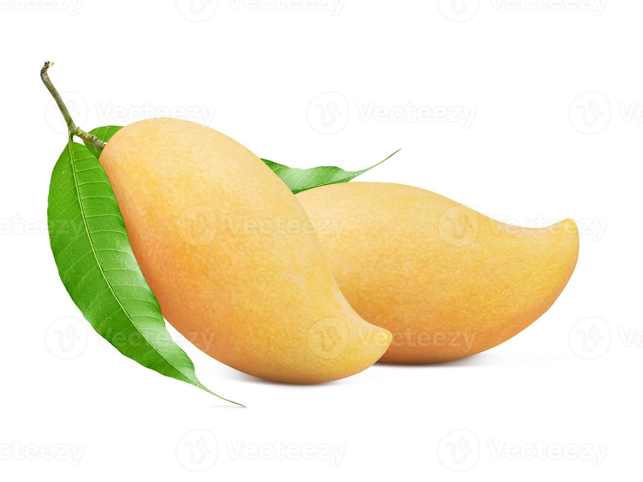 Ripe Mango with green leaf isolated on white background. Clipping path. photo