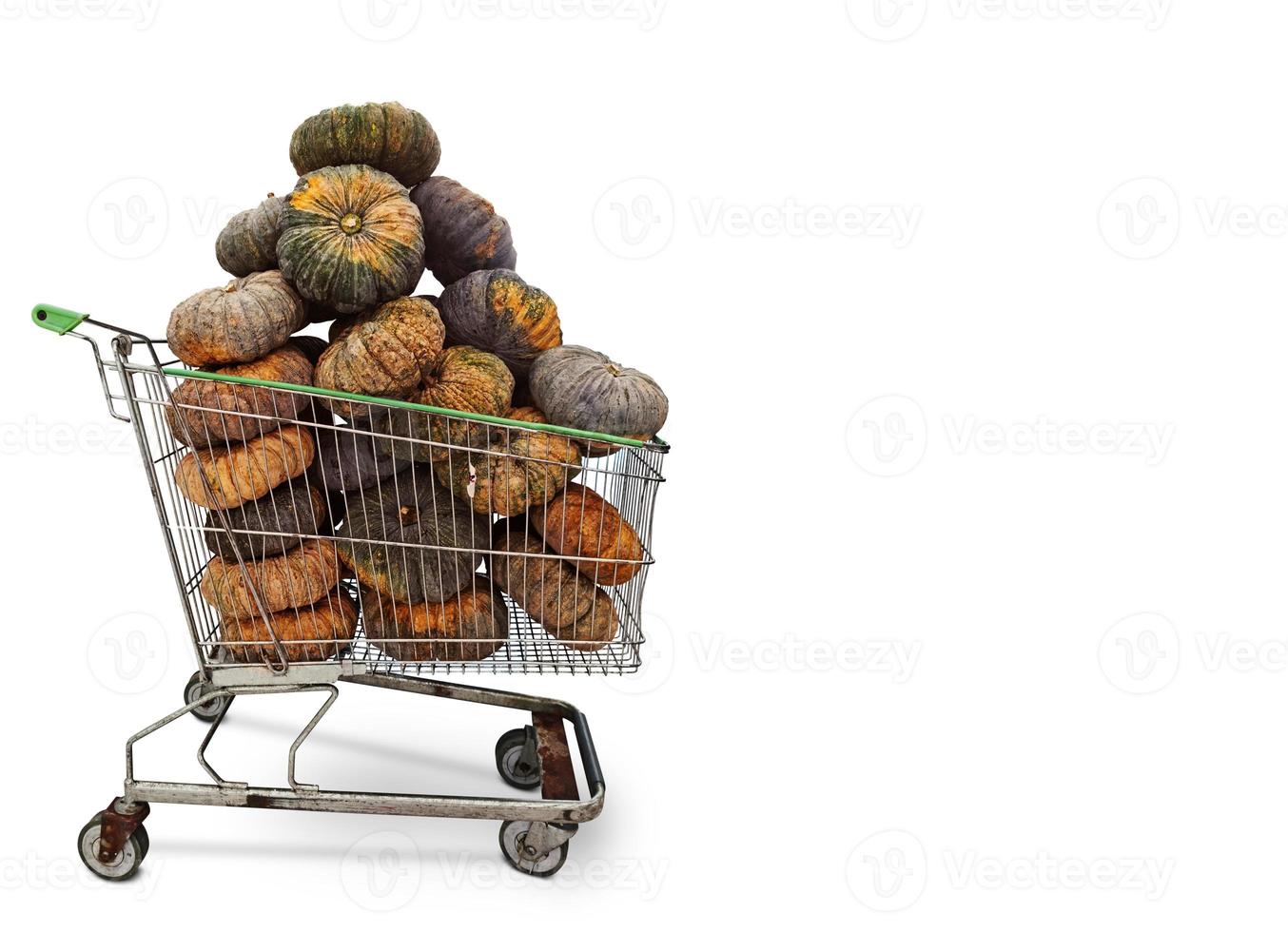 shopping cart with pumpkins isolated on white background with text input area photo