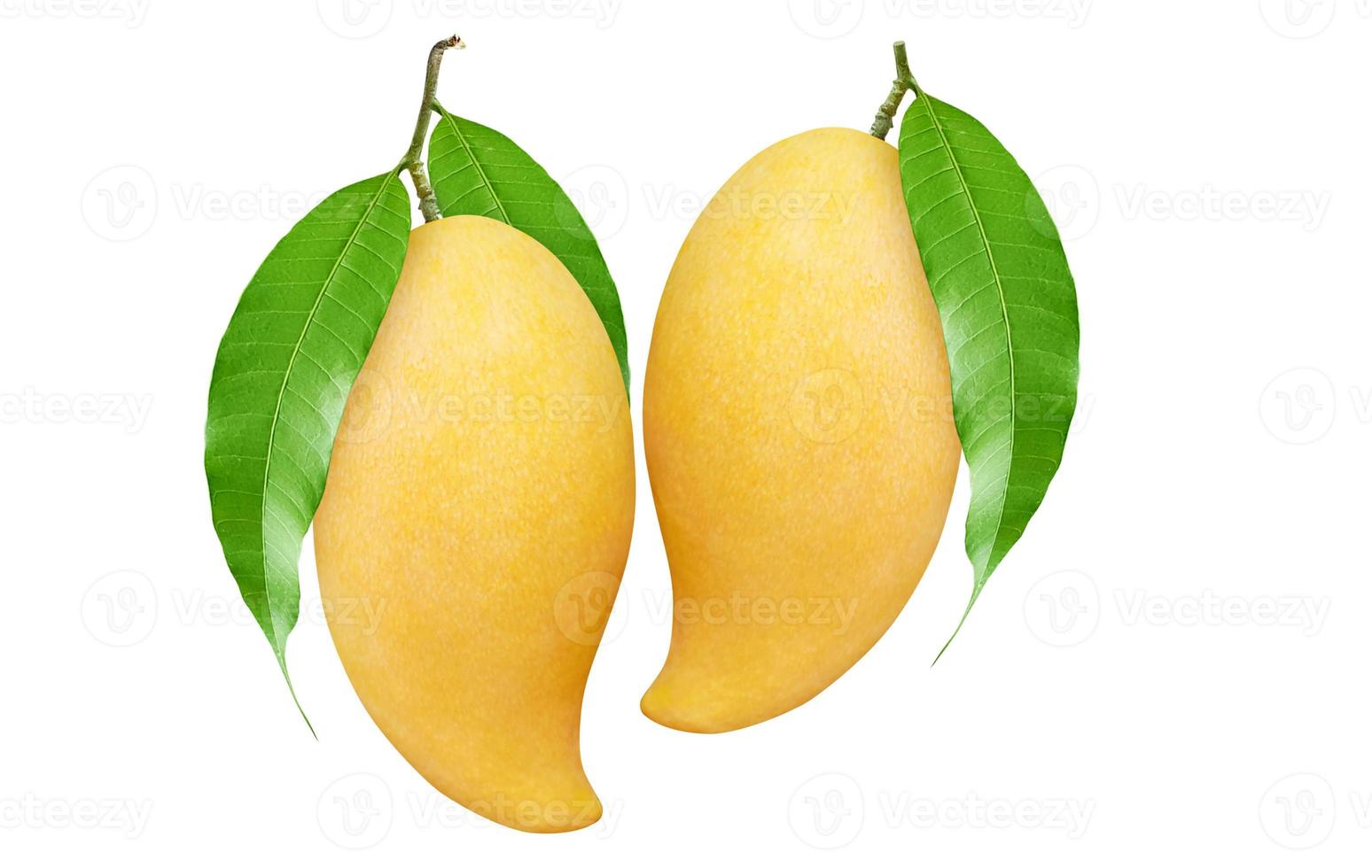 Ripe Mango with green leaf isolated on white background. Clipping path. photo