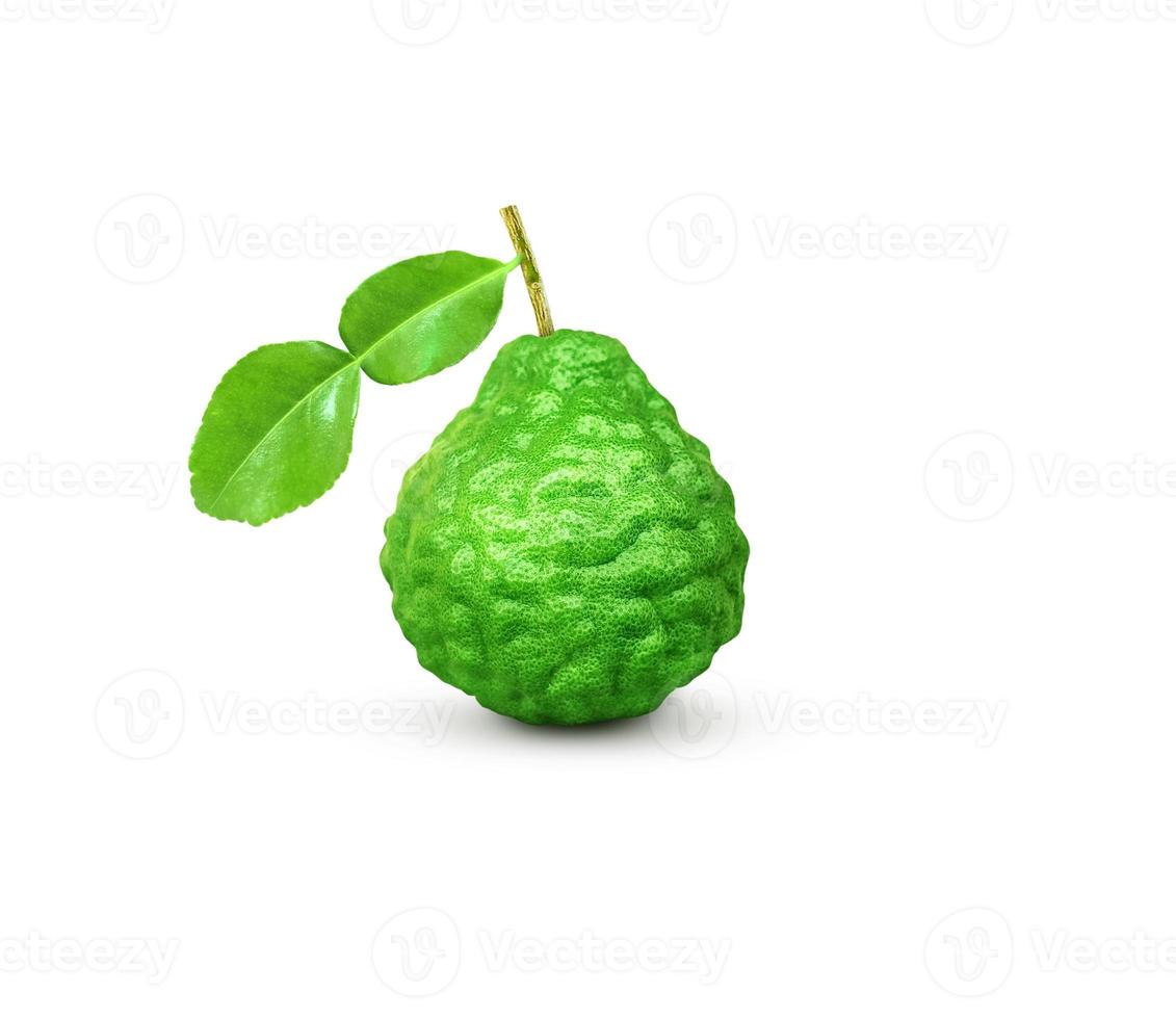 kaffir lime fruit with stems and leaves isolated on white background and space for text input photo