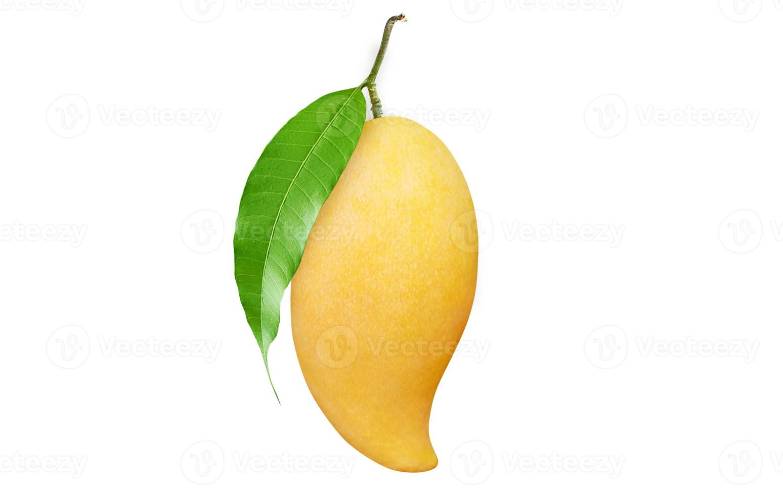 Ripe Mango with green leaf isolated on white background. Clipping path. photo