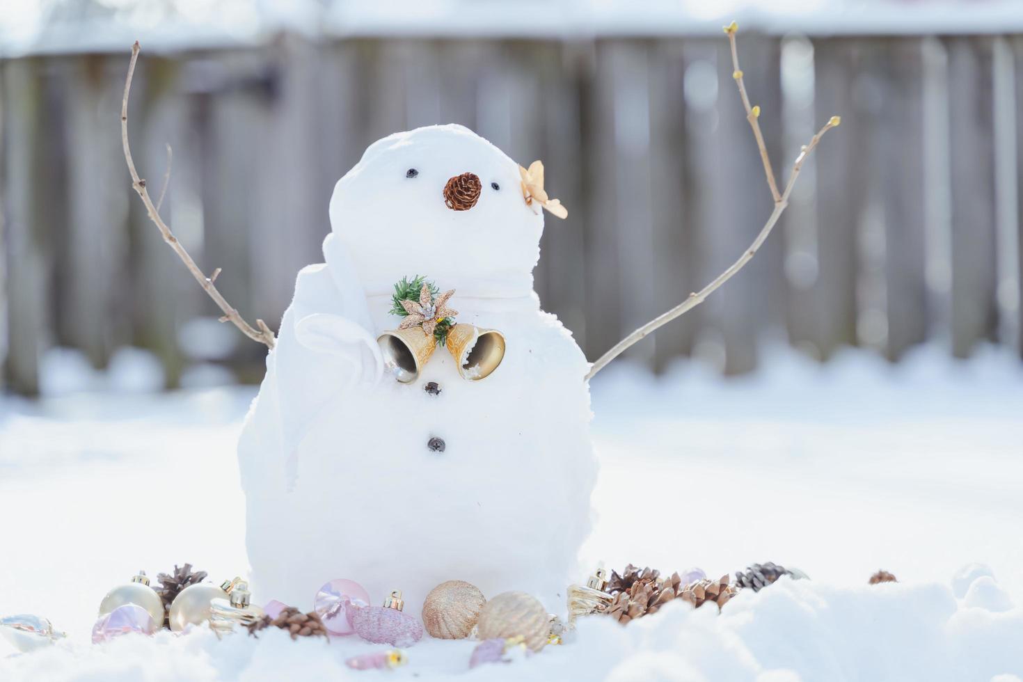 Merry Christmas and happy New Year greeting card with copy-space.Many snowmen standing in winter Christmas landscape.Winter background.Snowman with Dry Flower and pine . Happy holiday and celebration. photo