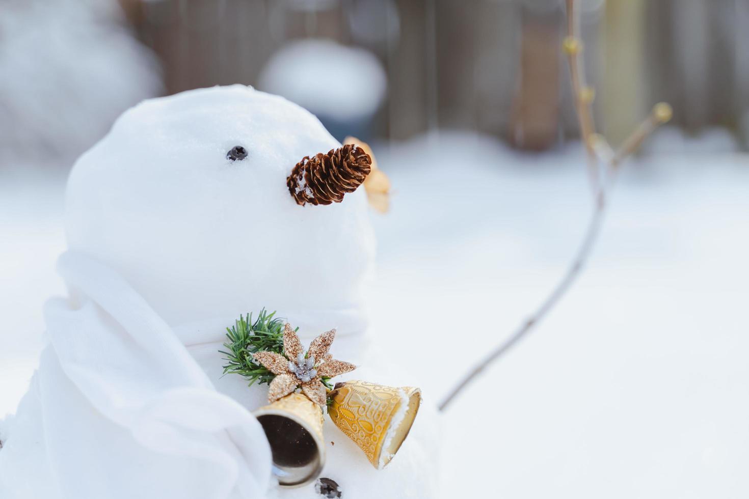 Merry Christmas and happy New Year greeting card with copy-space.Many snowmen standing in winter Christmas landscape.Winter background.Snowman with Dry Flower and pine . Happy holiday and celebration. photo