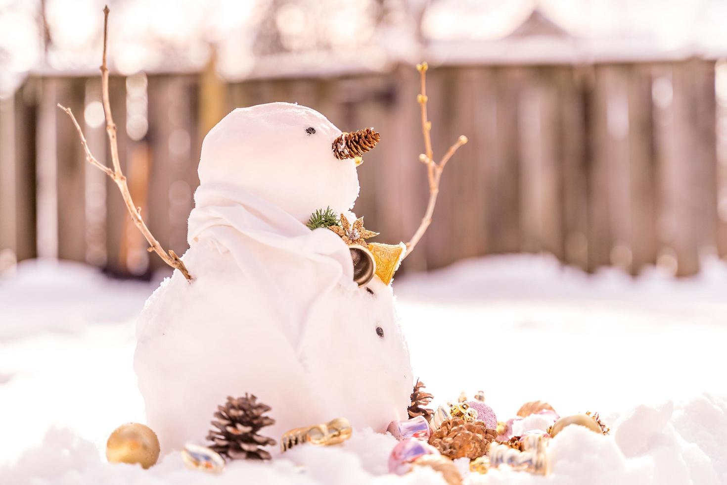 Merry Christmas and happy New Year greeting card with copy-space.Many snowmen standing in winter Christmas landscape.Winter background.Snowman with Dry Flower and pine . Happy holiday and celebration. photo