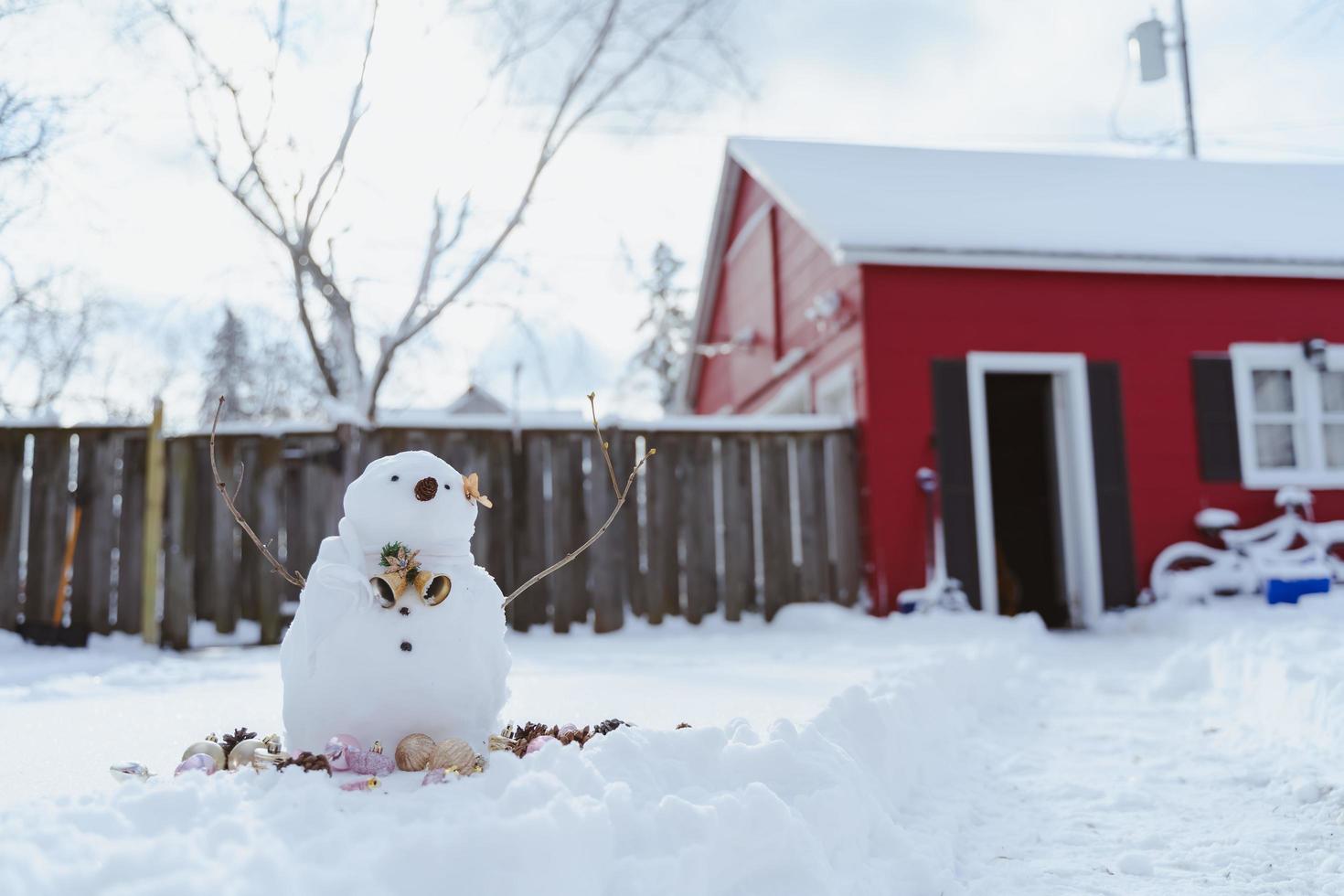 Merry Christmas and happy New Year greeting card with copy-space.Many snowmen standing in winter Christmas landscape.Winter background.Snowman with Dry Flower and pine . Happy holiday and celebration. photo