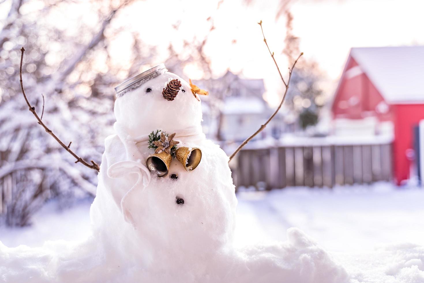 Merry Christmas and happy New Year greeting card with copy-space.Many snowmen standing in winter Christmas landscape.Winter background.Snowman with Dry Flower and pine . Happy holiday and celebration. photo