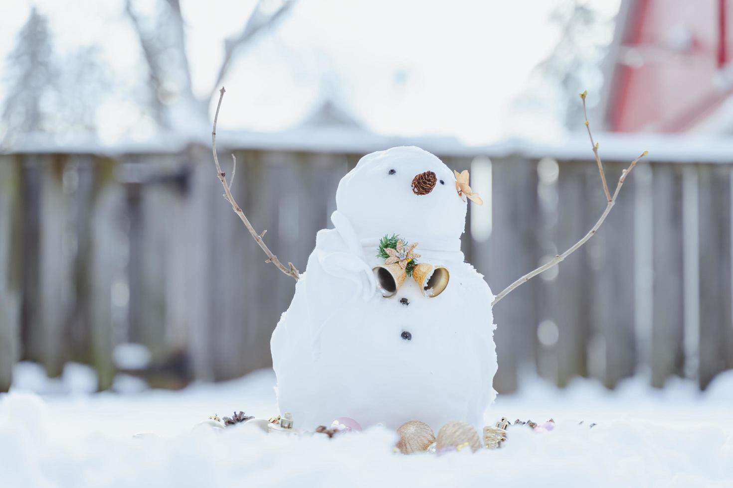 Merry Christmas and happy New Year greeting card with copy-space.Many snowmen standing in winter Christmas landscape.Winter background.Snowman with Dry Flower and pine . Happy holiday and celebration. photo