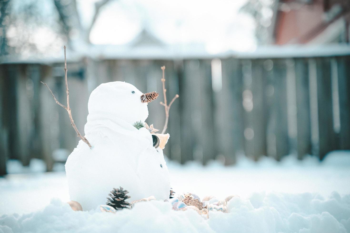 feliz navidad y feliz año nuevo tarjeta de felicitación con espacio de copia. muchos muñecos de nieve de pie en el paisaje navideño de invierno. fondo de invierno. muñeco de nieve con flor seca y pino. felices fiestas y celebraciones. foto