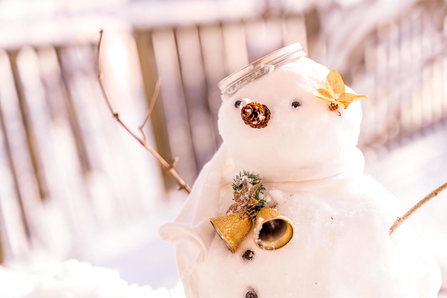 Merry Christmas and happy New Year greeting card with copy-space.Many snowmen standing in winter Christmas landscape.Winter background.Snowman with Dry Flower and pine . Happy holiday and celebration. photo