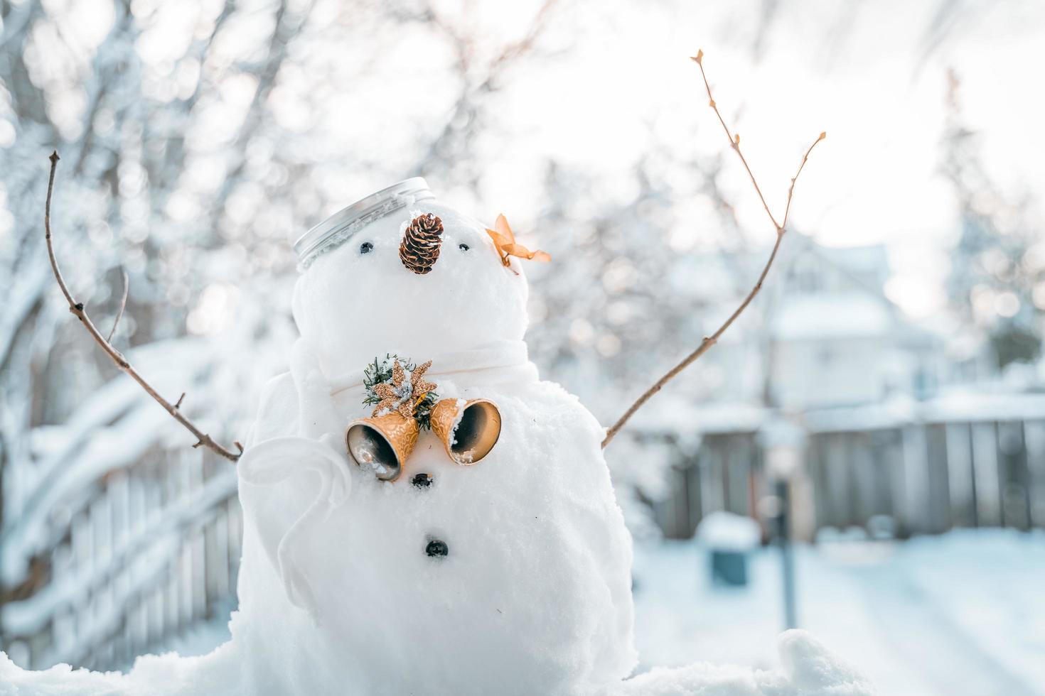 Merry Christmas and happy New Year greeting card with copy-space.Many snowmen standing in winter Christmas landscape.Winter background.Snowman with Dry Flower and pine . Happy holiday and celebration. photo