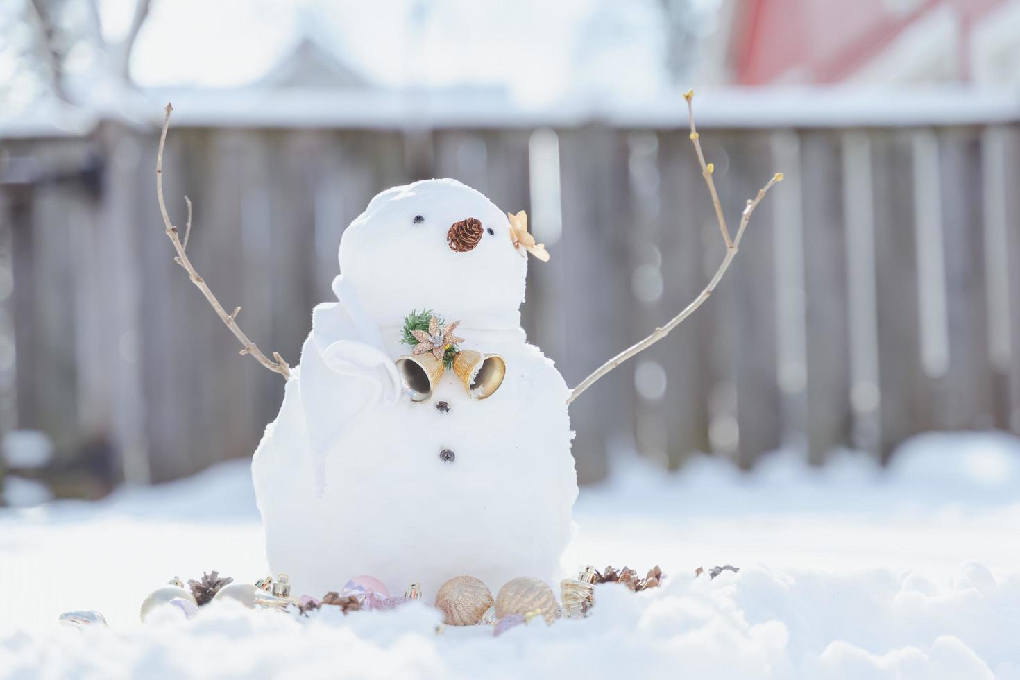 Merry Christmas and happy New Year greeting card with copy-space.Many snowmen standing in winter Christmas landscape.Winter background.Snowman with Dry Flower and pine . Happy holiday and celebration. photo