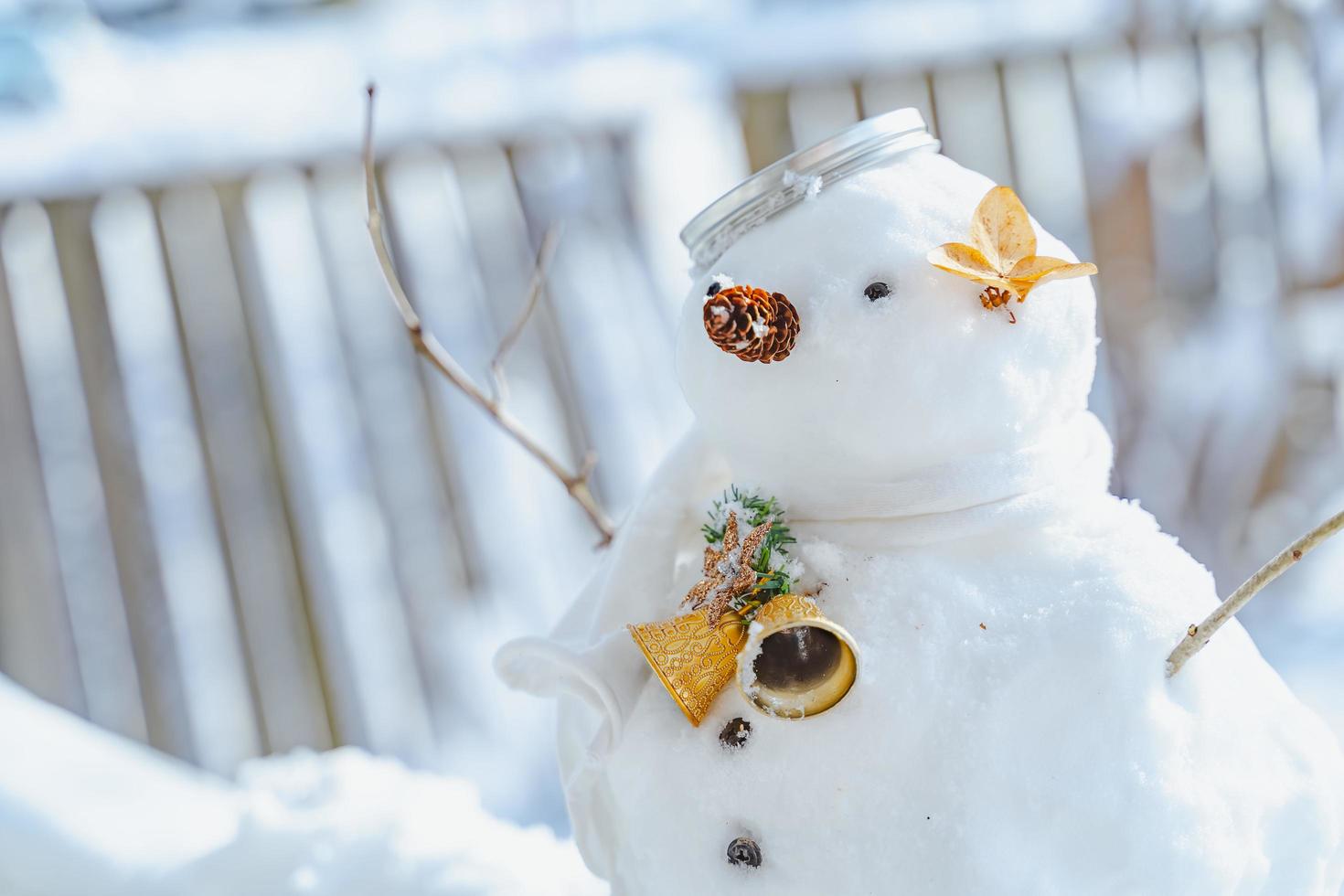 Merry Christmas and happy New Year greeting card with copy-space.Many snowmen standing in winter Christmas landscape.Winter background.Snowman with Dry Flower and pine . Happy holiday and celebration. photo
